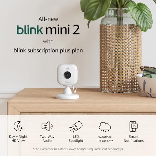 Blink Mini 2  Home Security & Pet Camera with HD video, color night view, motion detection, two-way audio, and built-in spotlight  1 camera (White)