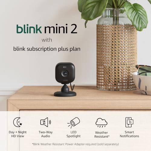 Blink Mini 2  Home Security & Pet Camera with HD video, color night view, motion detection, two-way audio, and built-in spotlight  1 camera (White)