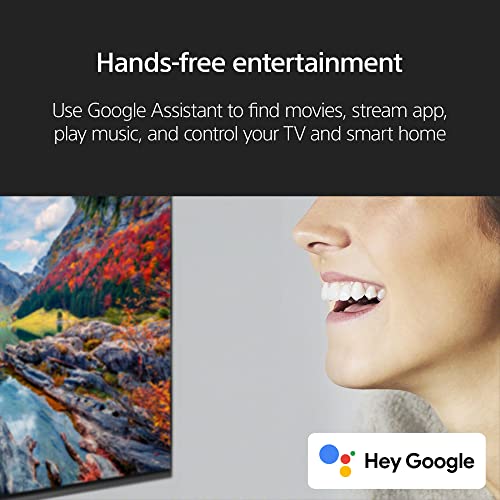 Sony 65 Inch 4K Ultra HD TV X90L Series: BRAVIA XR Full Array LED Smart Google TV with Dolby Vision HDR and Exclusive Features for The