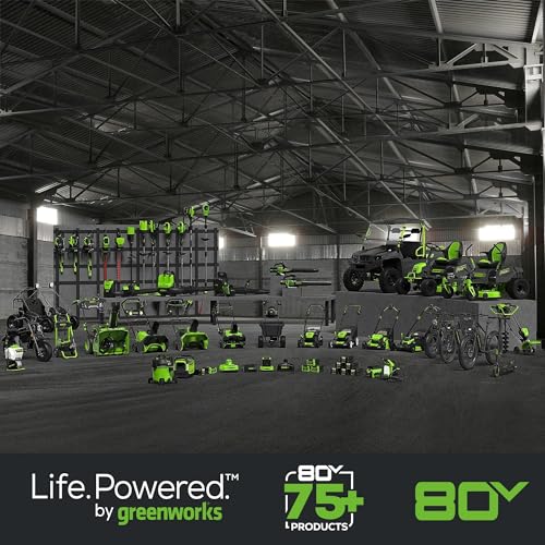 Greenworks 80V 18" Brushless Cordless Chainsaw (Great For Tree Felling, Limbing, Pruning, and Firewood) / 75+ Compatible Tools), 2.0Ah Battery and