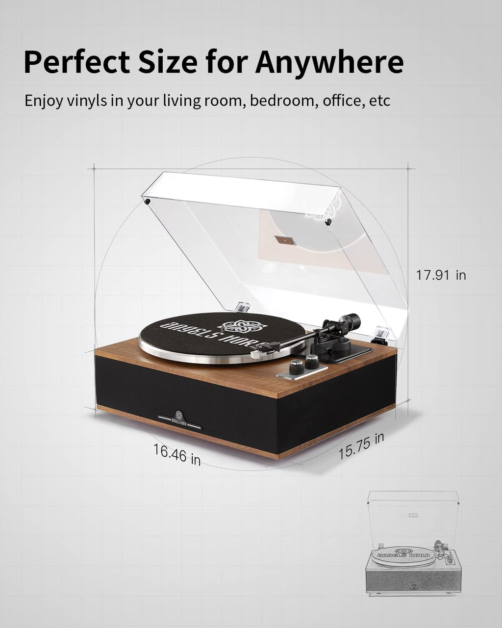 ANGELS HORN Vinyl Record Player, Bluetooth Turntable with Built in Speakers Phono Preamp, High Fidelity Turntables for Vinyl Records with Magnetic