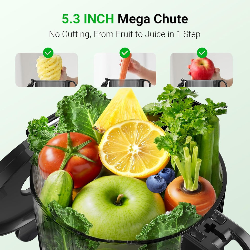 Cold Press Juicer, 5.8" Extra Large Feed Chute, Aeitto Masticating Juicer Machines, Easy to Clean wiht Brush, Fit Whole Vegetables & Fruits