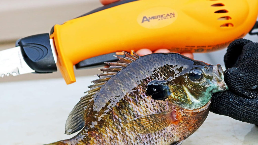 American Angler PRO Electric Fillet Knife Professional Grade Fisherman's Kit C Includes 5 Types of Stainless Steel Blades, Storage Pouch, and